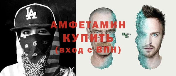 ГАЛЛЮЦИНОГЕННЫЕ ГРИБЫ Верея