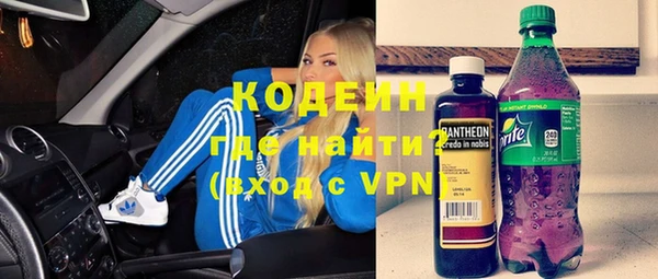 индика Покачи