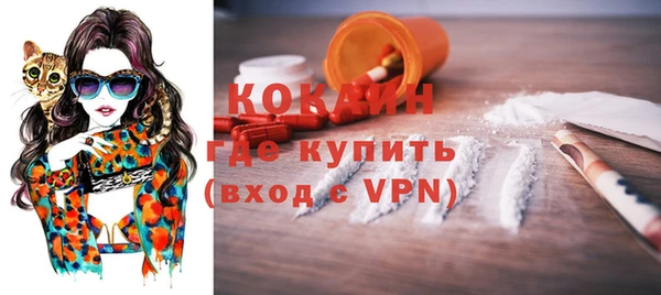 ГАЛЛЮЦИНОГЕННЫЕ ГРИБЫ Верея