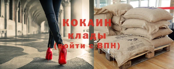 эйфоретик Бородино
