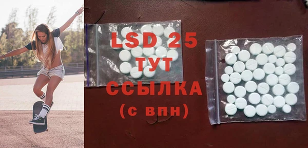 ГАЛЛЮЦИНОГЕННЫЕ ГРИБЫ Верея