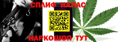 гидропоника Новозыбков