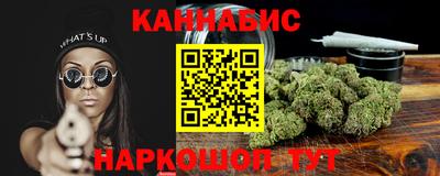сатива Новодвинск
