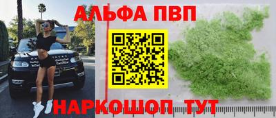 сатива Новодвинск