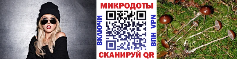 Псилоцибиновые грибы прущие грибы  Семилуки 