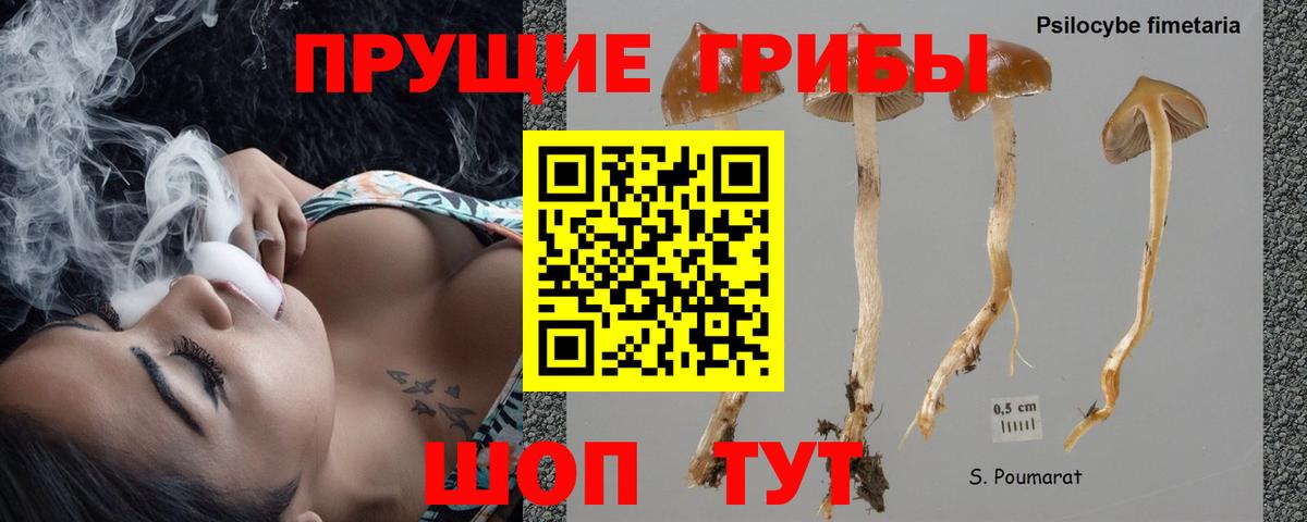 Галлюциногенные грибы прущие грибы  Вход с VPN  Семилуки 